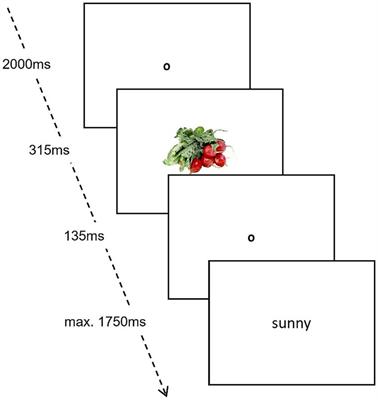 The positive impact of mindfulness interventions on the explicit and implicit affective attitudes toward vegetarian foods